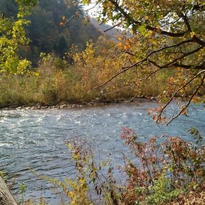 Meet your Posher, Brenda